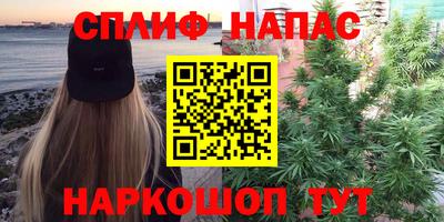 стаф Лесосибирск