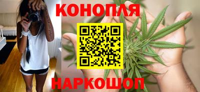 стаф Лесосибирск