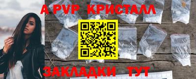 стаф Лесосибирск